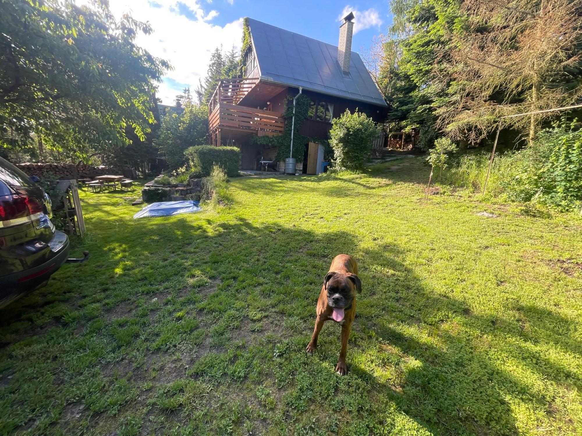 Chata Dagmar Trebic Exterior foto